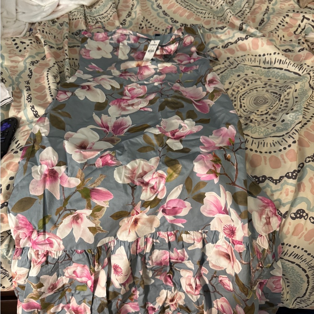 Express Pink and White Floral Dress